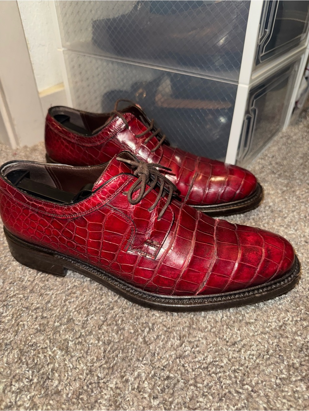 Salvatore Ferragamo Rare Genuine Red Crocodile Oxford Retail $1899